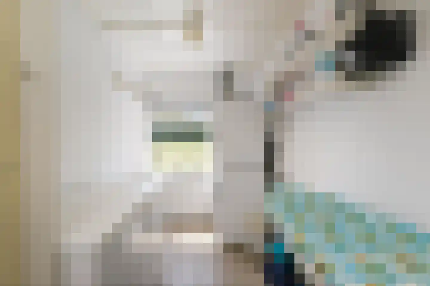 Spanjaardsdijk 40 Heeten thumbnail 12