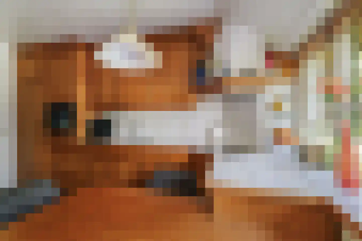 Spanjaardsdijk 40 Heeten thumbnail 18