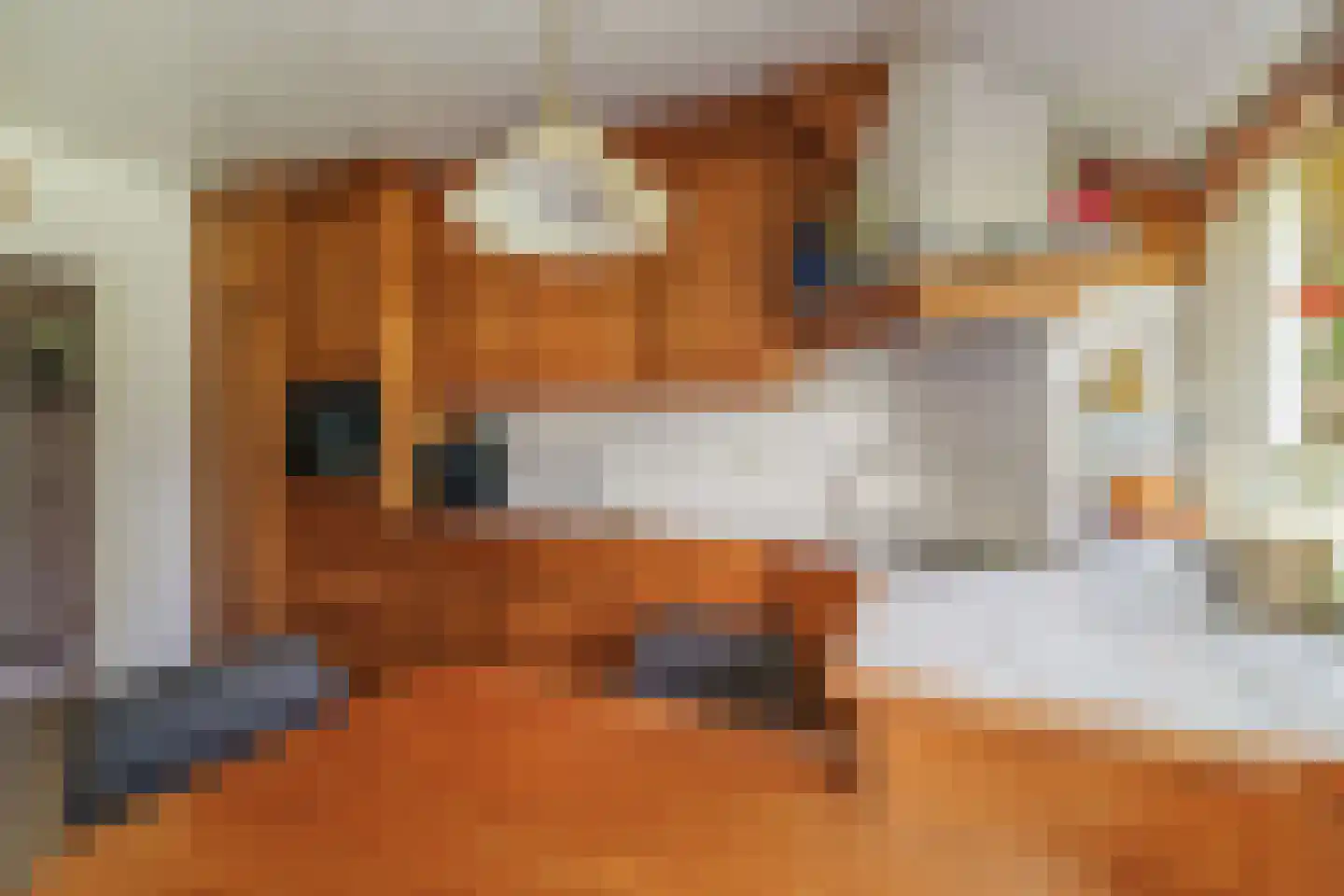 Spanjaardsdijk 40 Heeten thumbnail 19