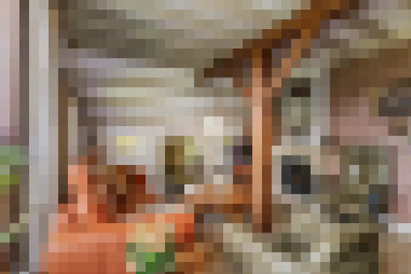 Spanjaardsdijk 40 Heeten thumbnail 21