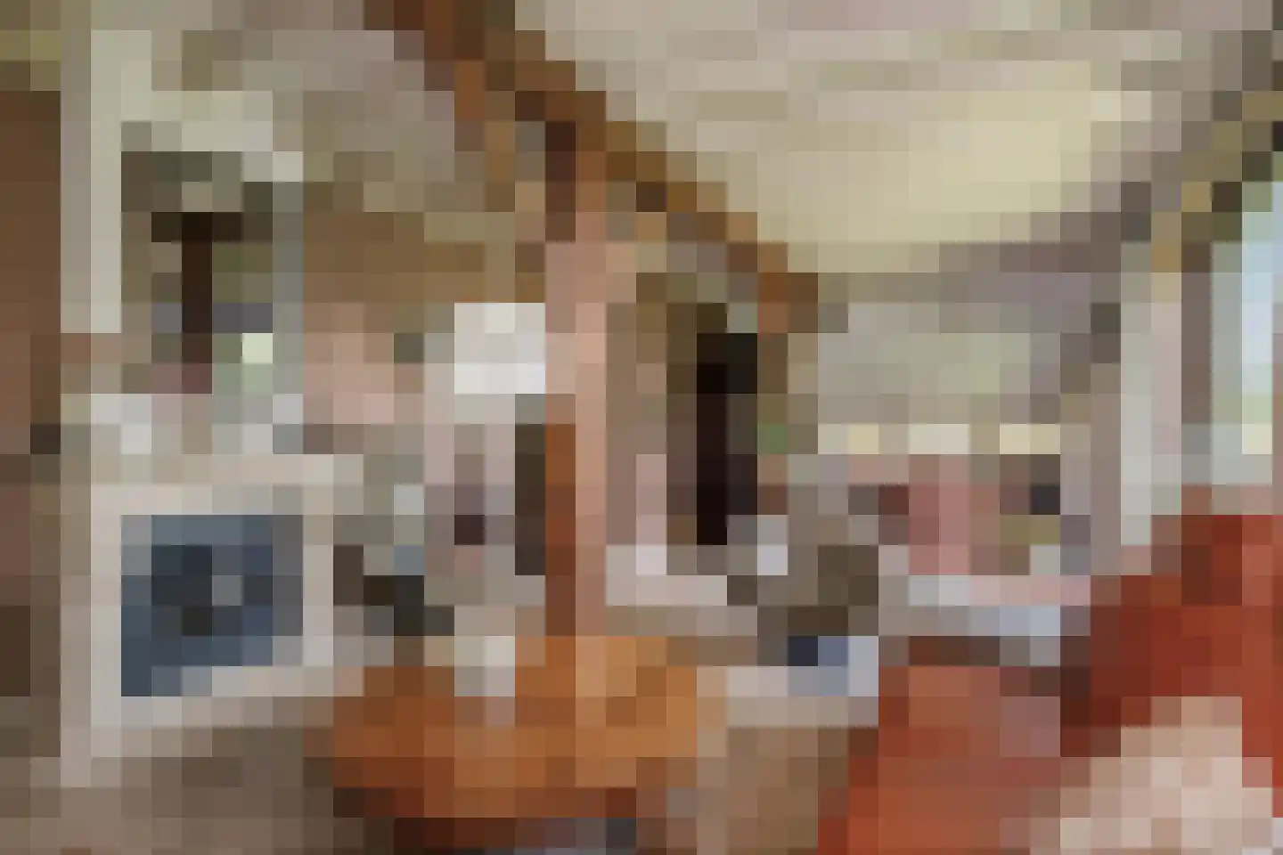 Spanjaardsdijk 40 Heeten thumbnail 22