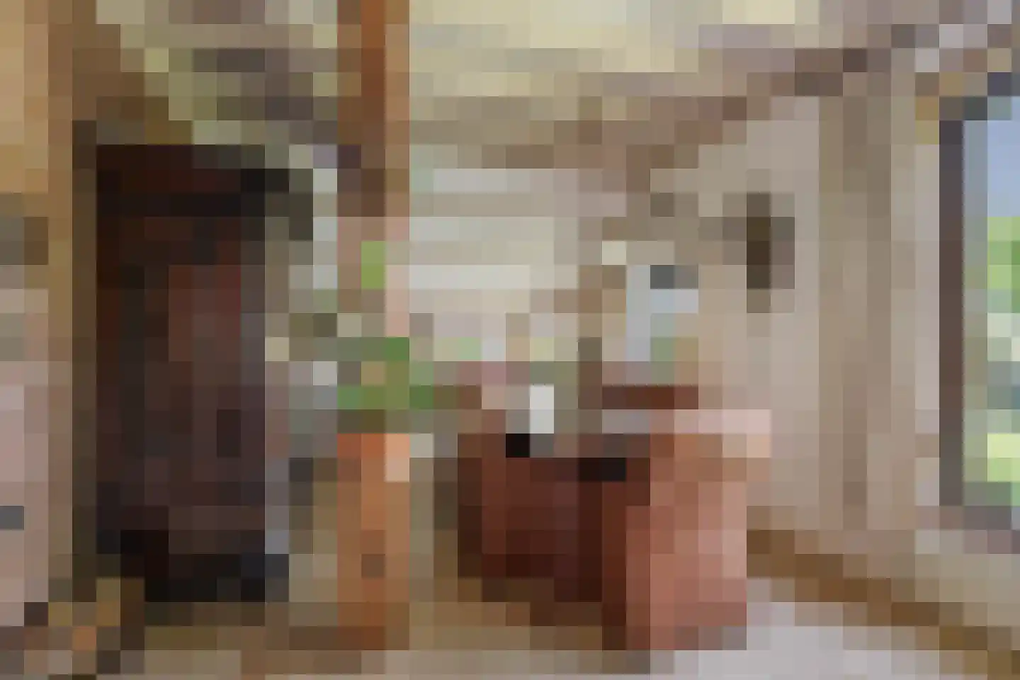 Spanjaardsdijk 40 Heeten thumbnail 23