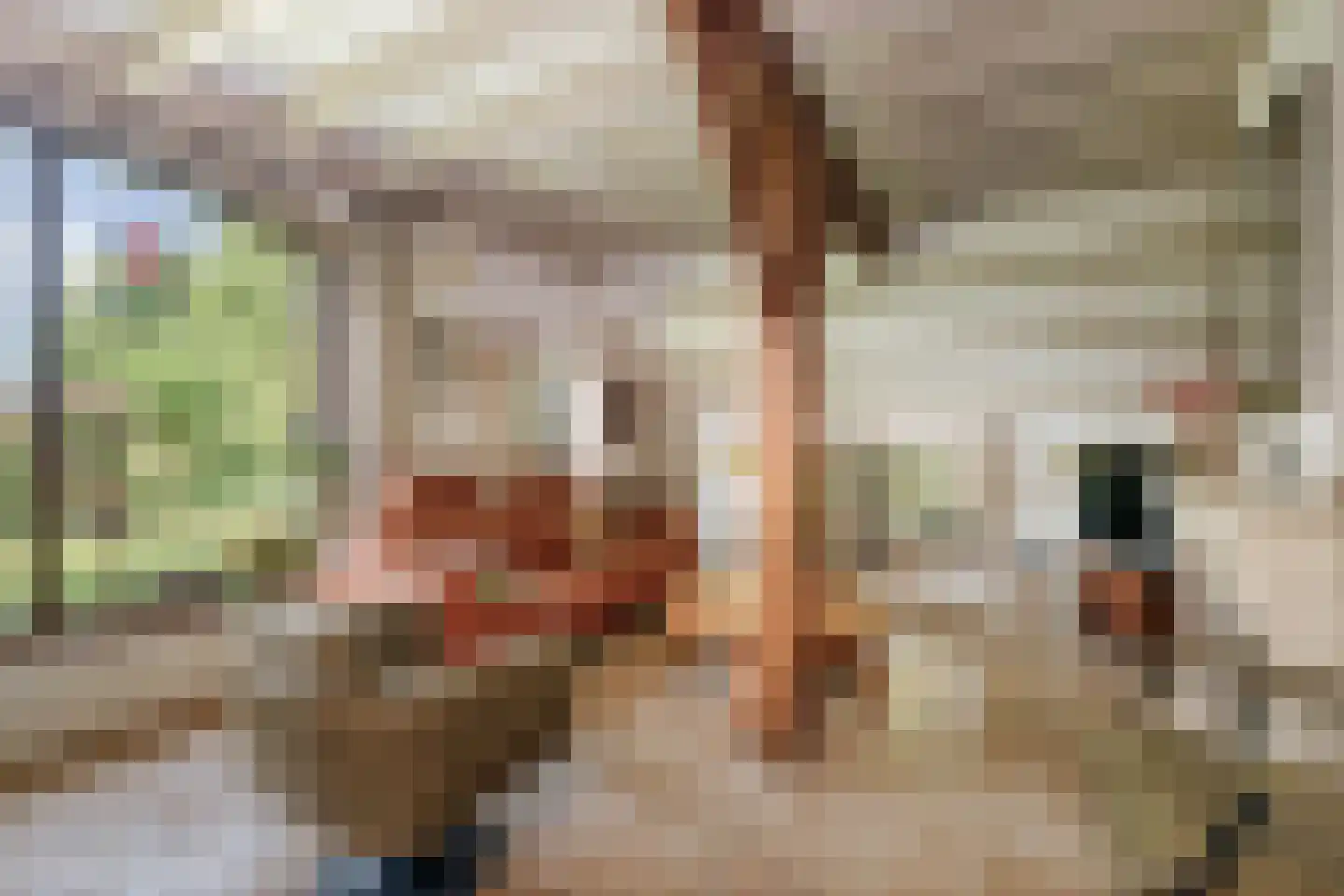 Spanjaardsdijk 40 Heeten thumbnail 24