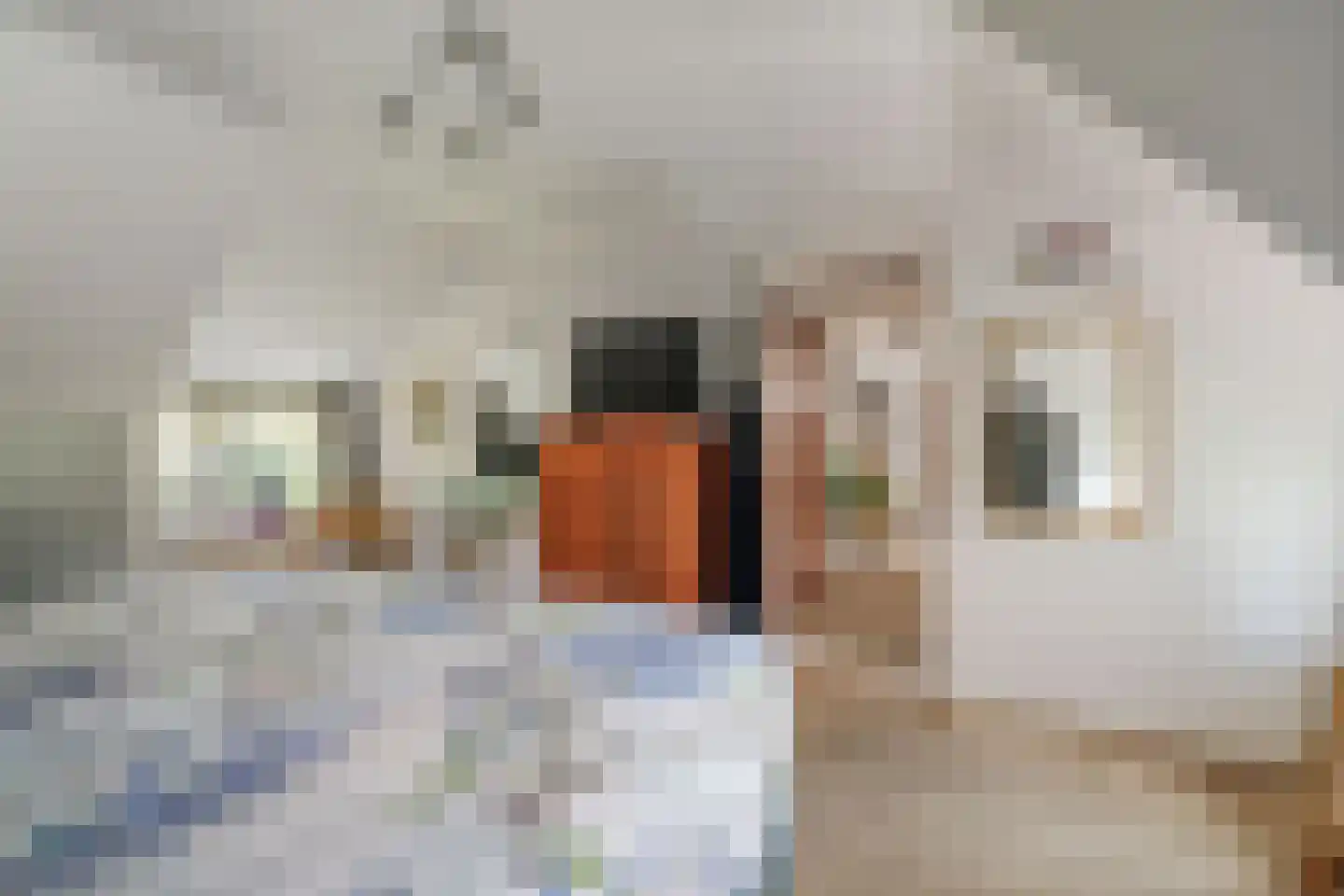 Spanjaardsdijk 40 Heeten thumbnail 32
