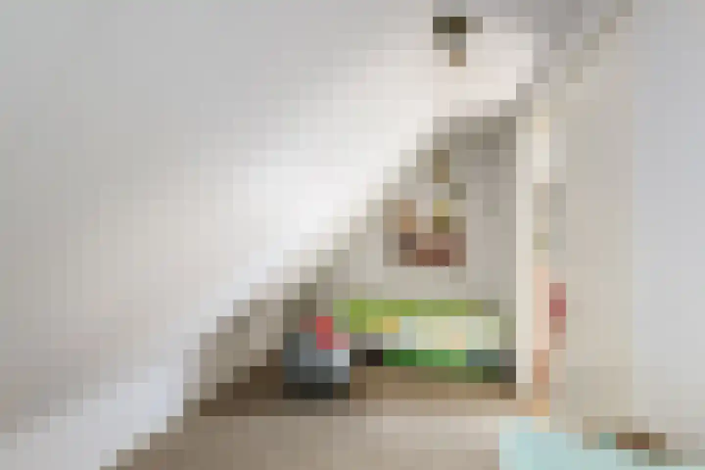 Spanjaardsdijk 40 Heeten thumbnail 37