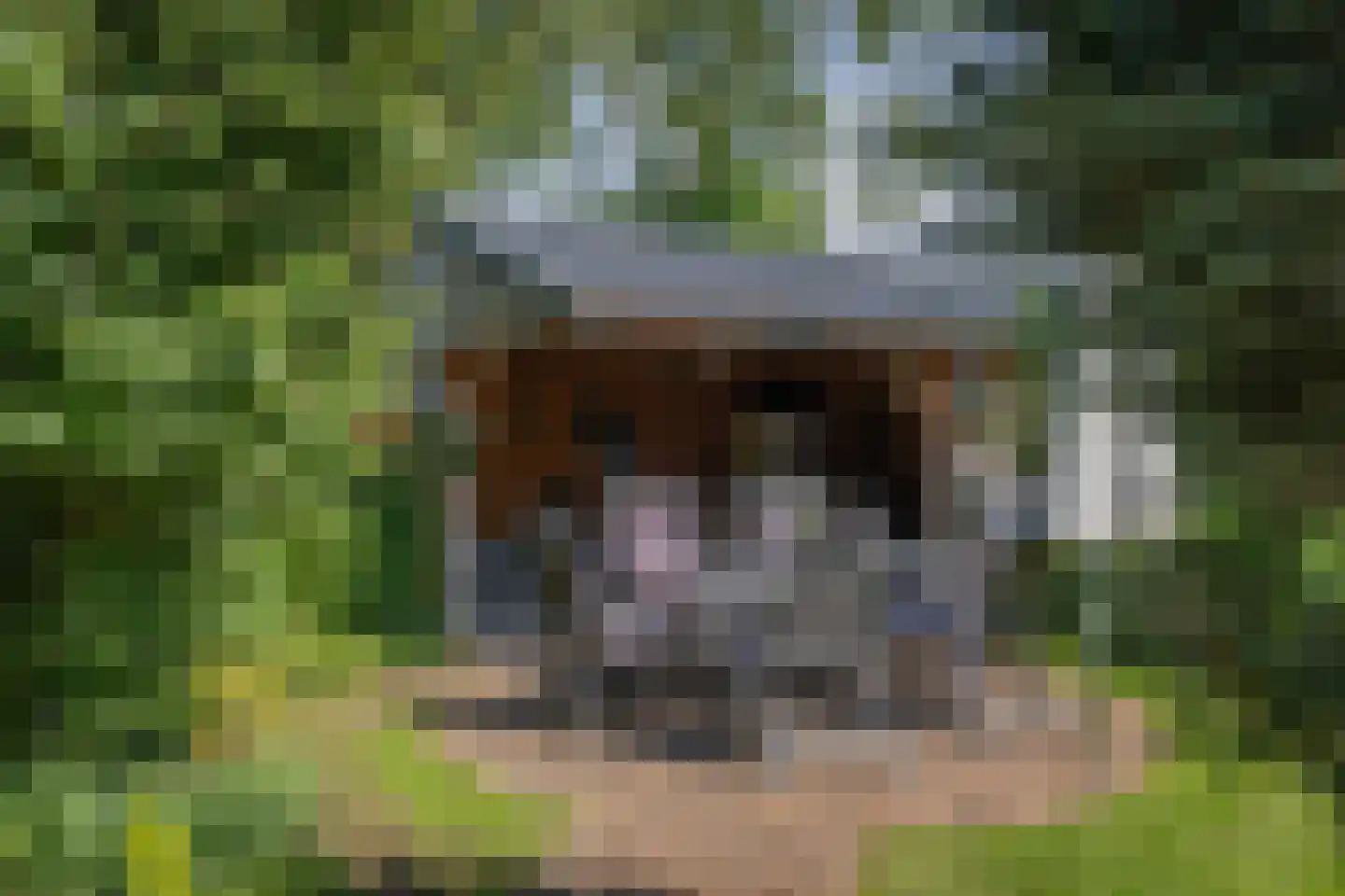 Spanjaardsdijk 40 Heeten thumbnail 38