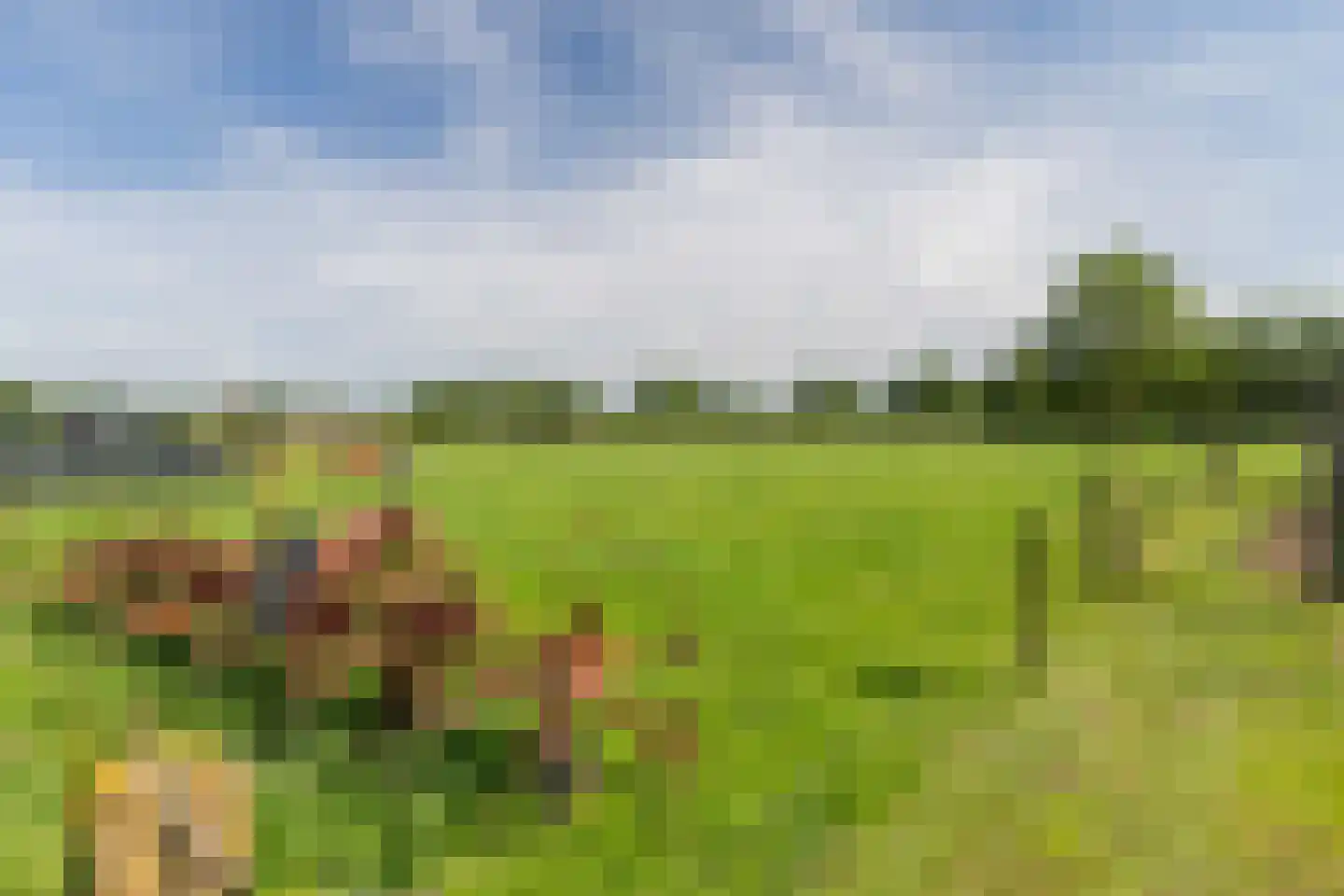 Spanjaardsdijk 40 Heeten thumbnail 47