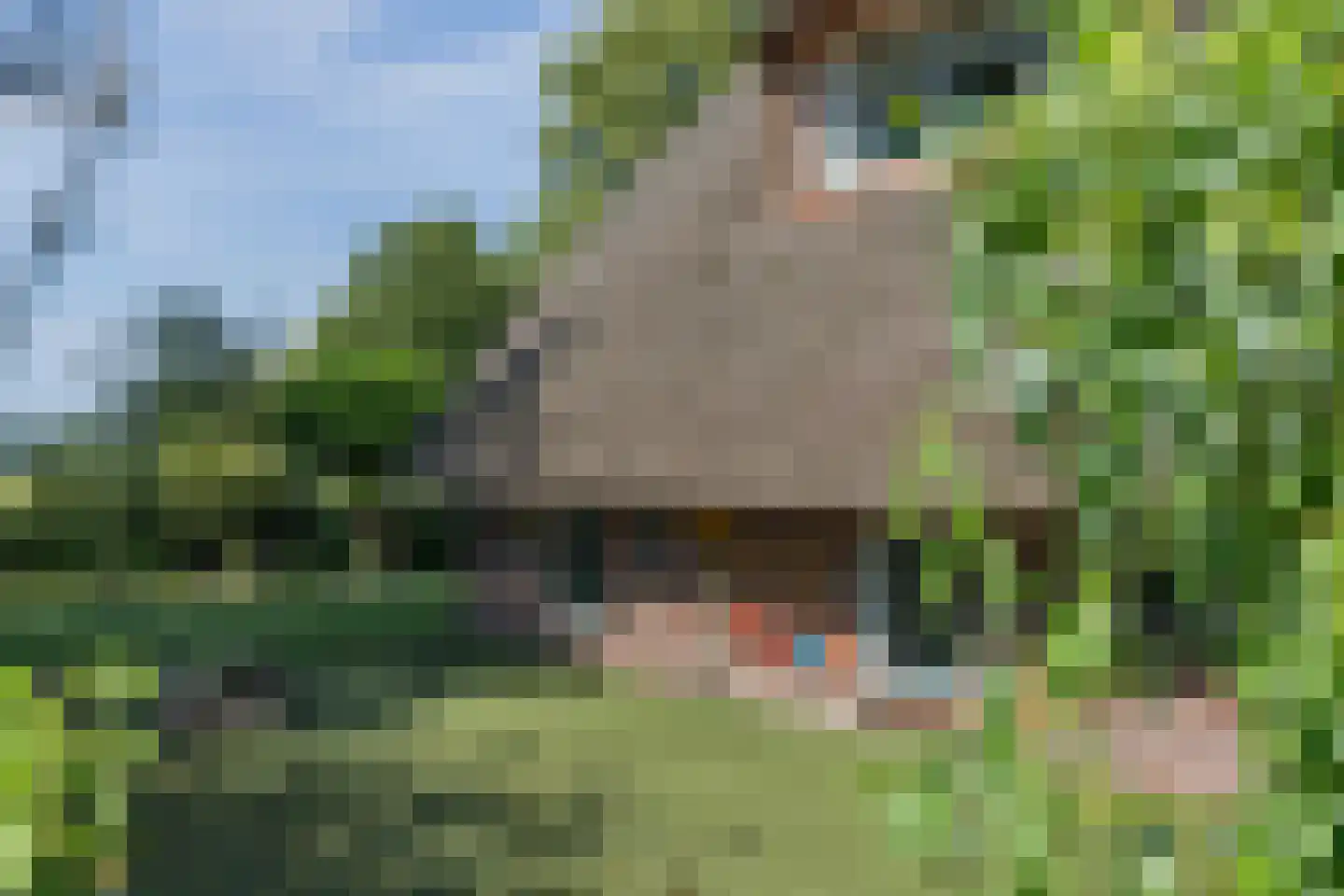 Spanjaardsdijk 40 Heeten thumbnail 50