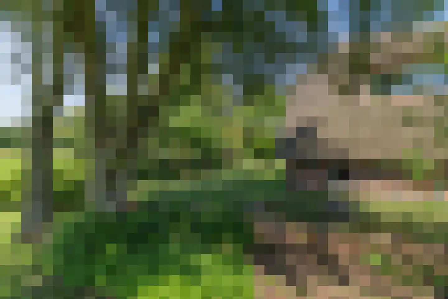 Spanjaardsdijk 40 Heeten thumbnail 51