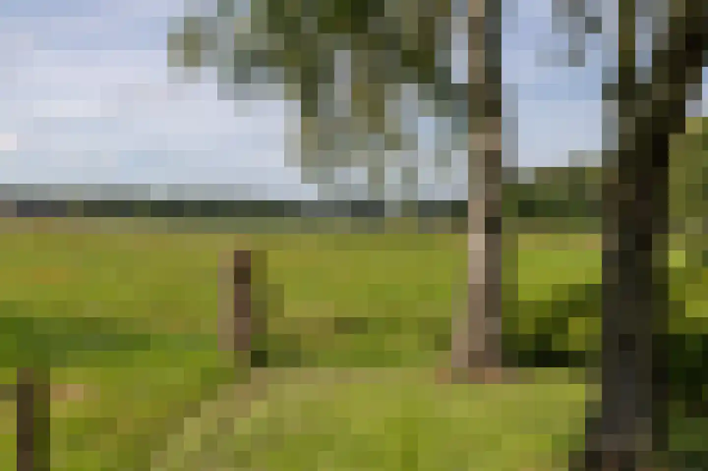 Spanjaardsdijk 40 Heeten thumbnail 52