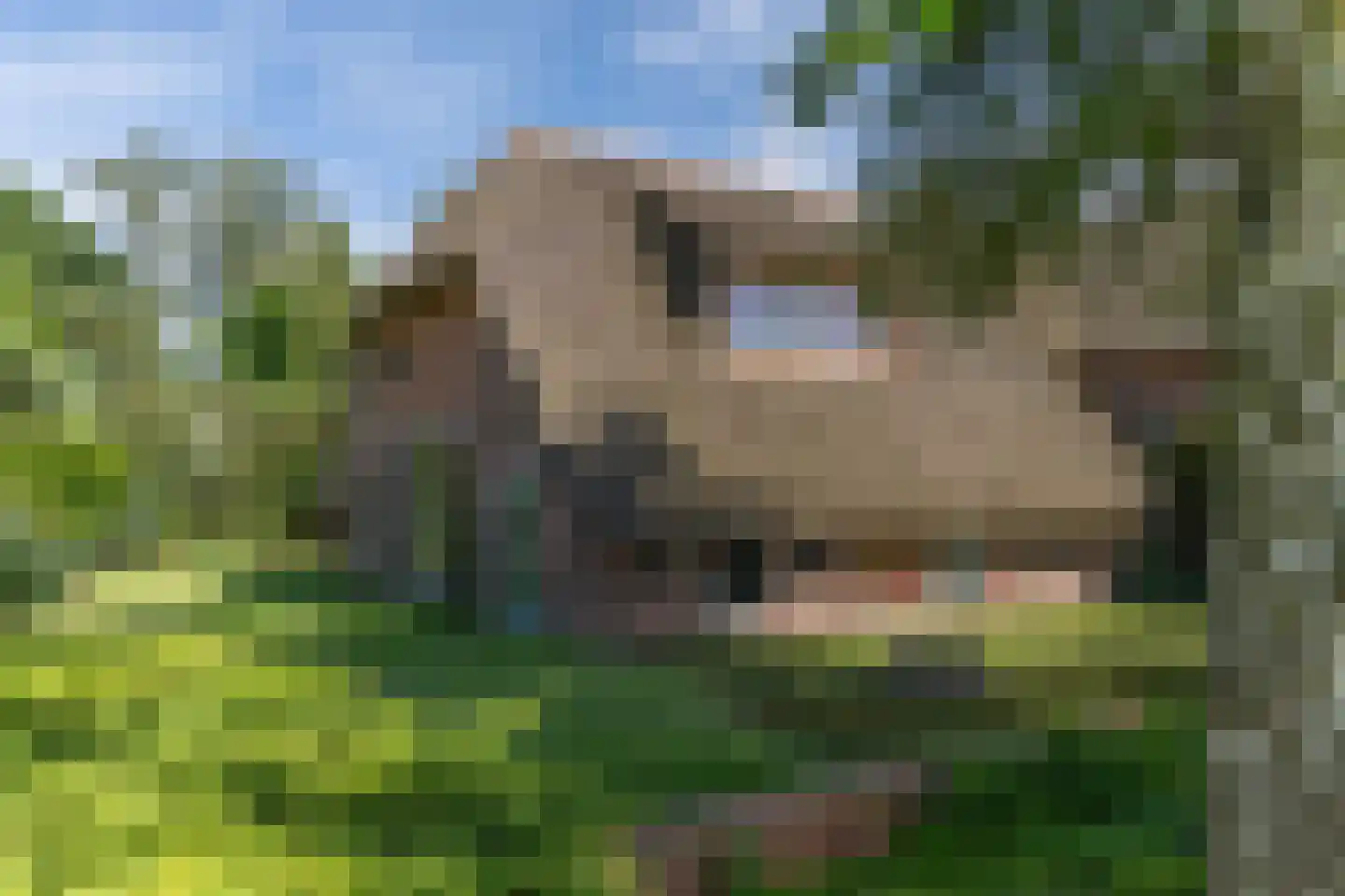 Spanjaardsdijk 40 Heeten thumbnail 53