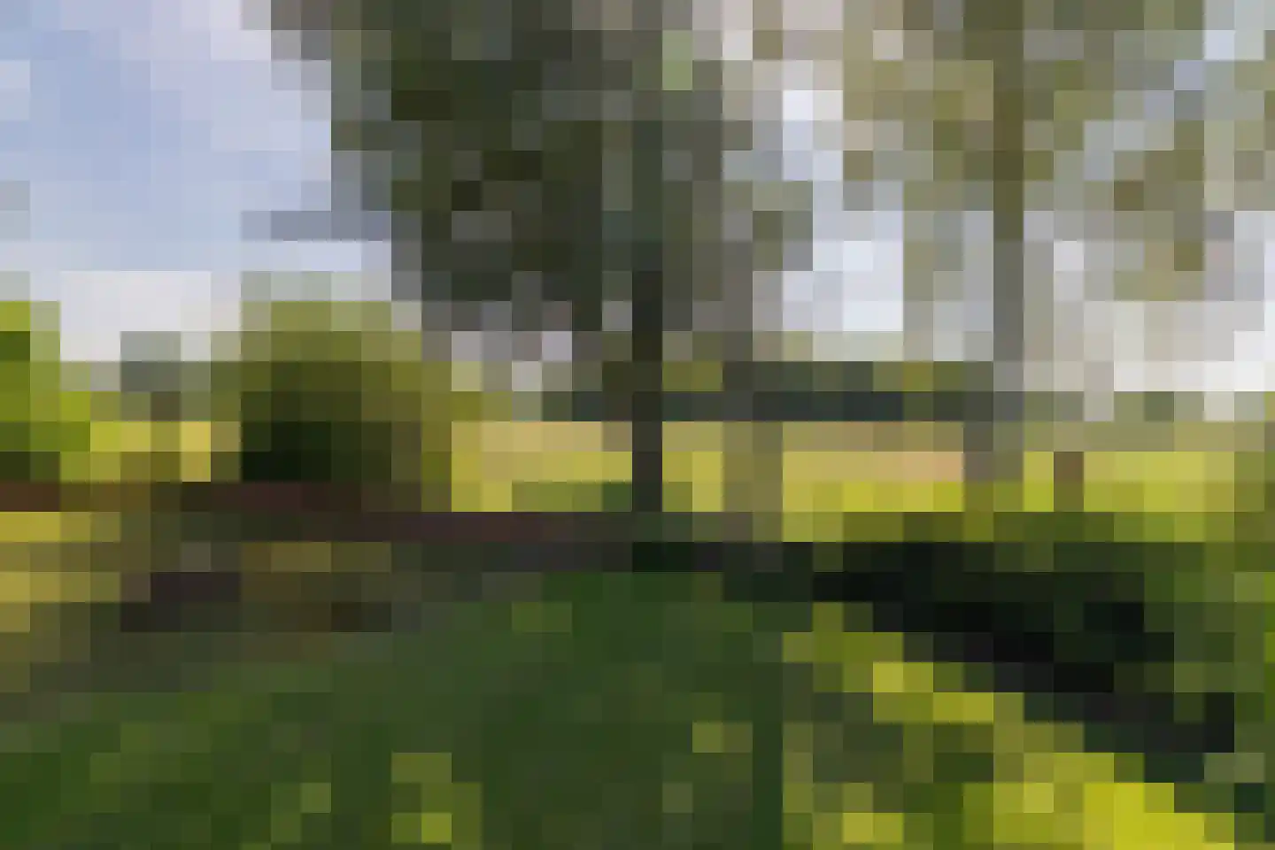 Spanjaardsdijk 40 Heeten thumbnail 54
