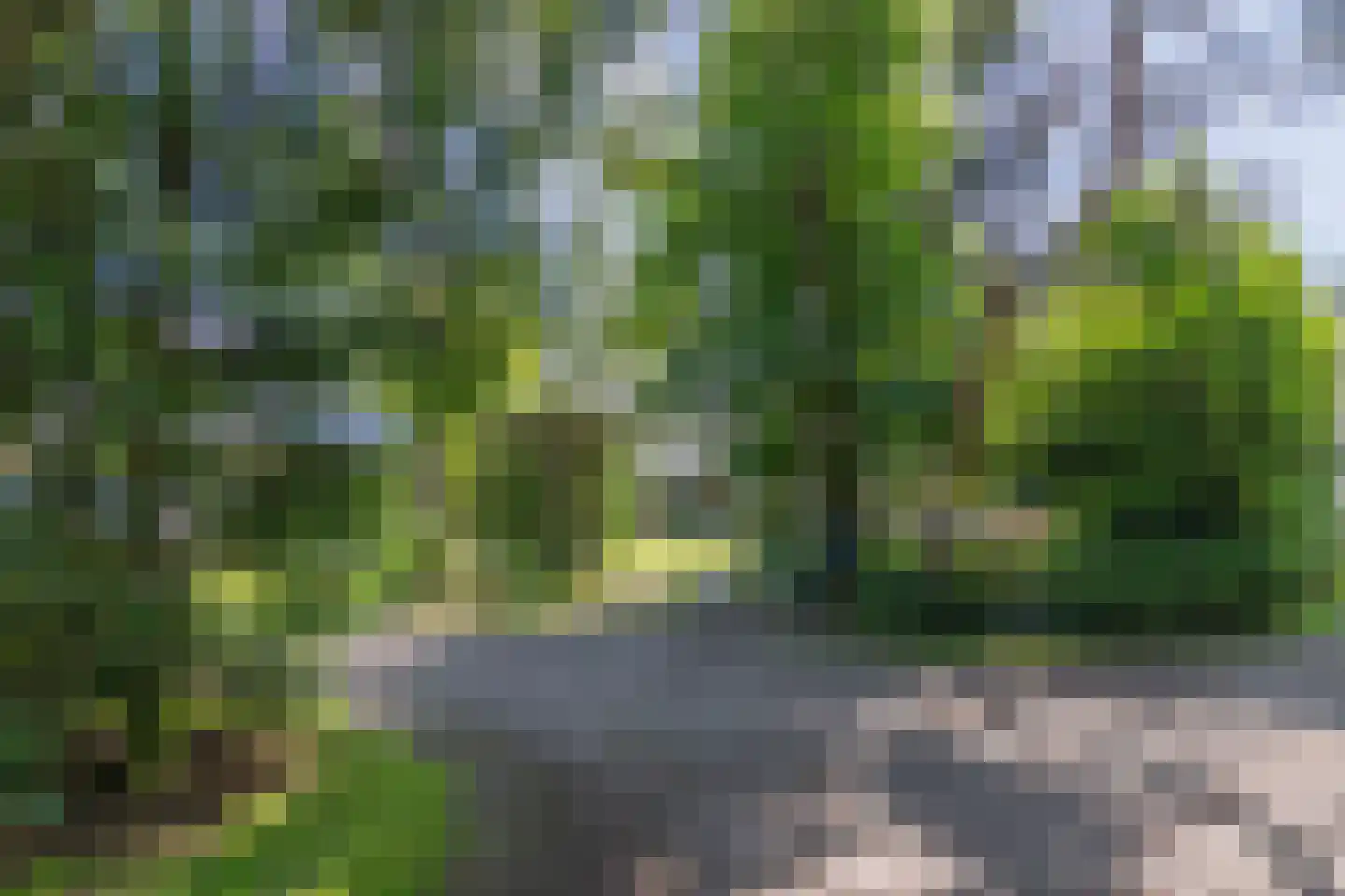 Spanjaardsdijk 40 Heeten thumbnail 57