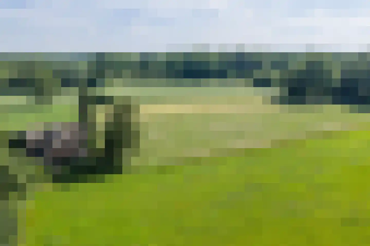 Spanjaardsdijk 40 Heeten thumbnail 62