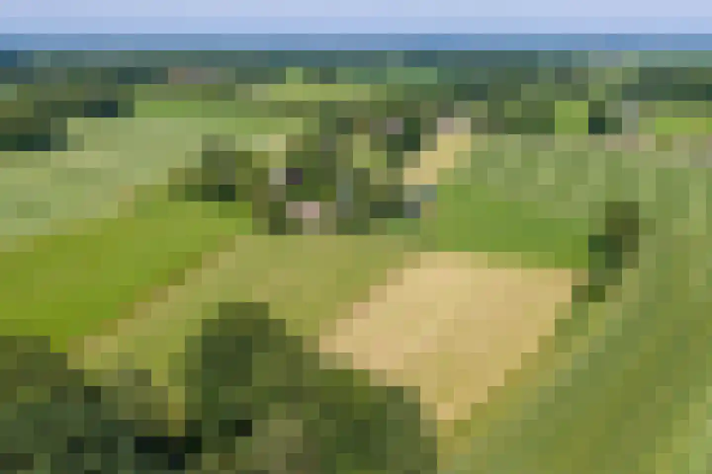 Spanjaardsdijk 40 Heeten thumbnail 64