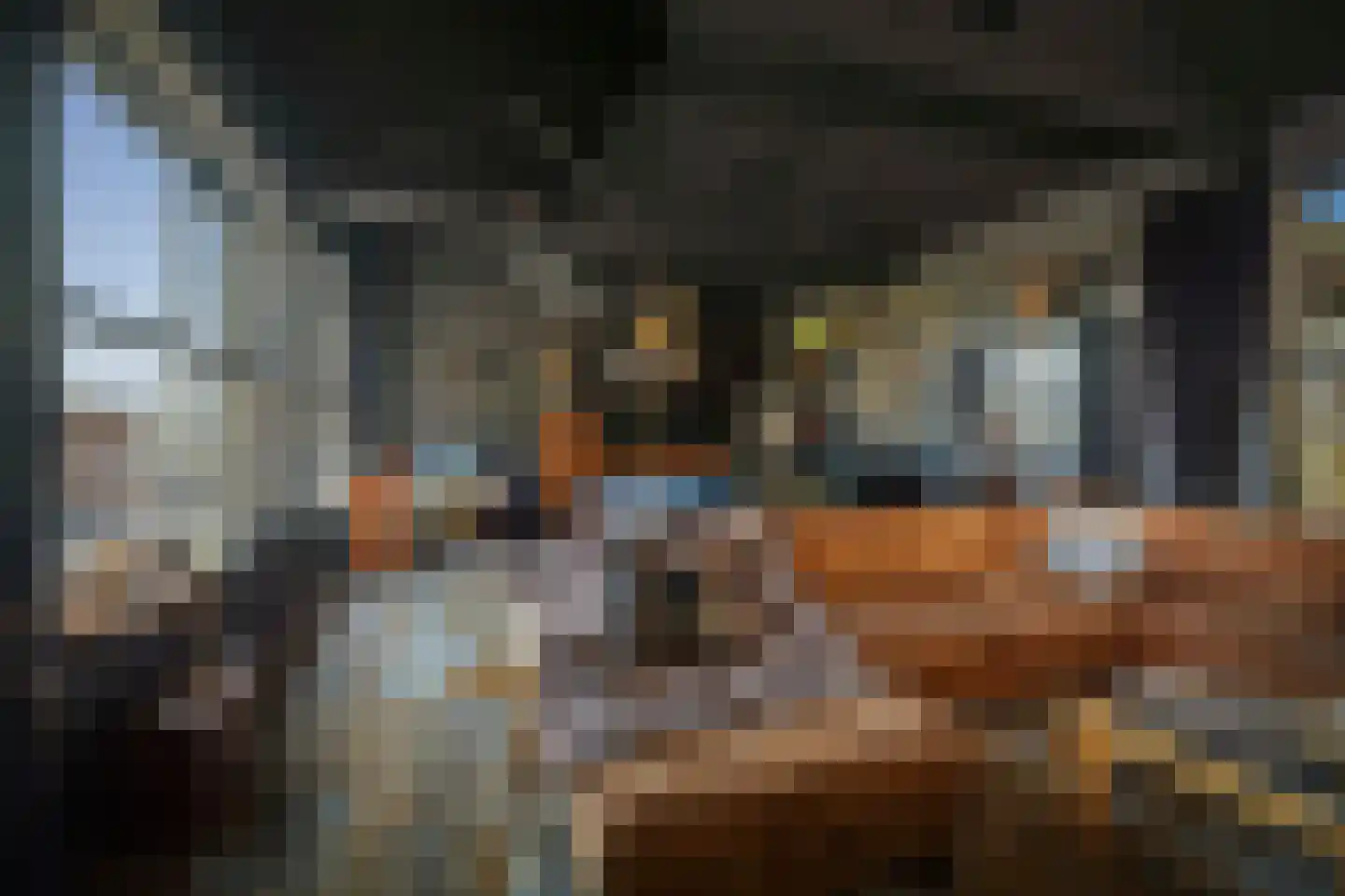 Spanjaardsdijk 50 A Schalkhaar thumbnail 26