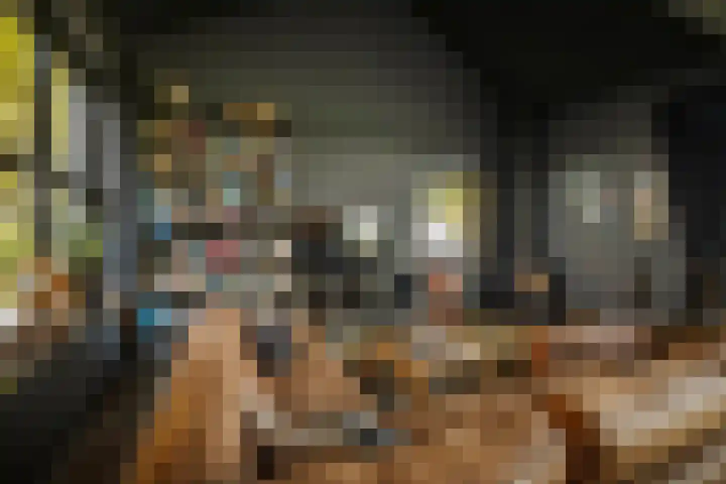Spanjaardsdijk 50 A Schalkhaar thumbnail 31