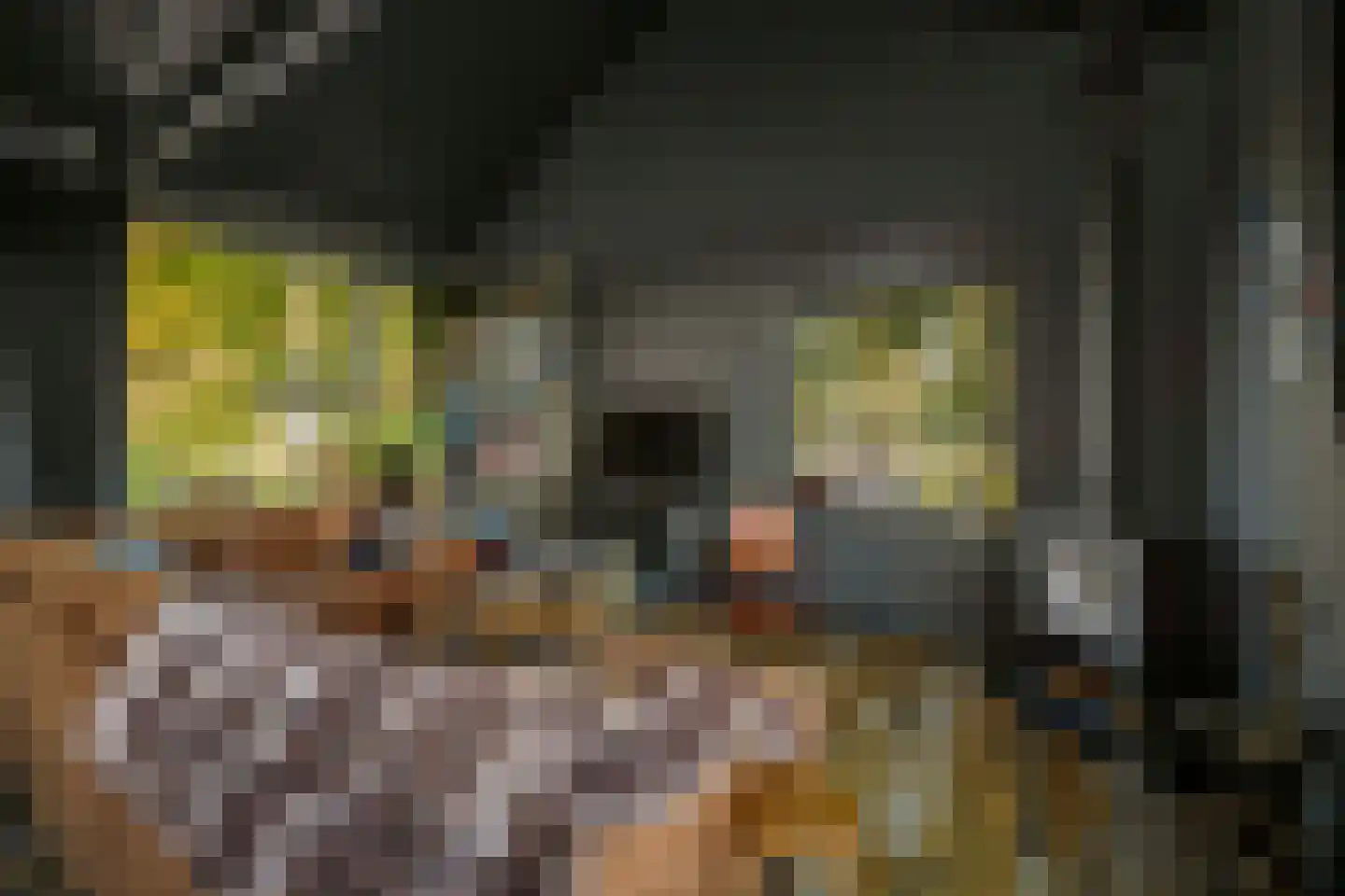 Spanjaardsdijk 50 A Schalkhaar thumbnail 32