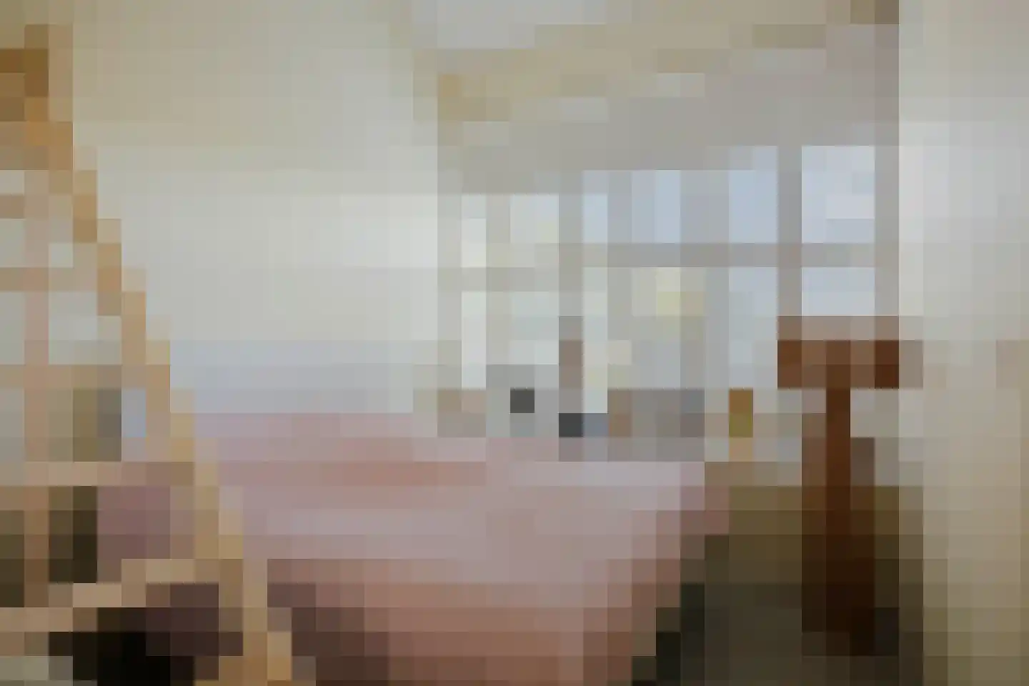 Spanjaardsdijk 50 A Schalkhaar thumbnail 34