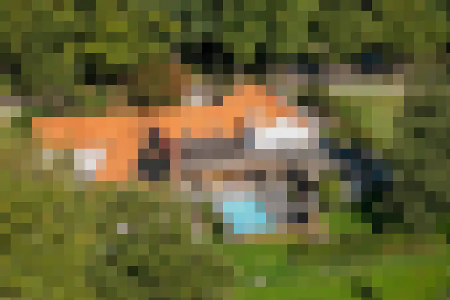 Spanjaardsdijk 50 A Schalkhaar thumbnail 4