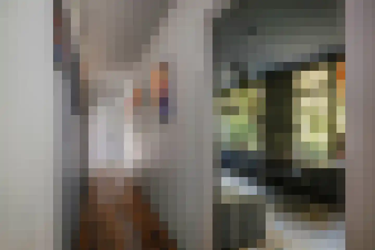 Spanjaardsdijk 50 A Schalkhaar thumbnail 46