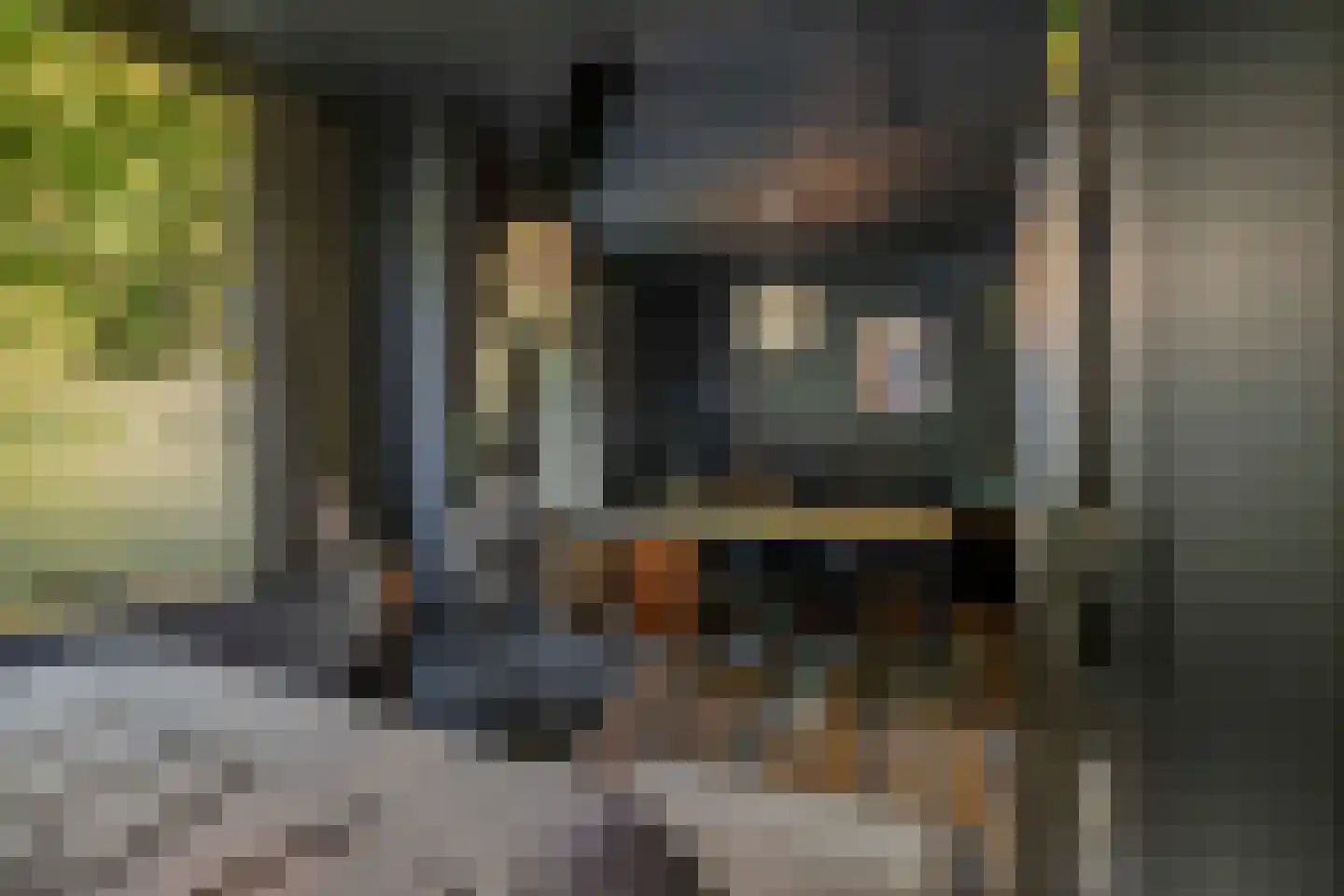 Spanjaardsdijk 50 A Schalkhaar thumbnail 51