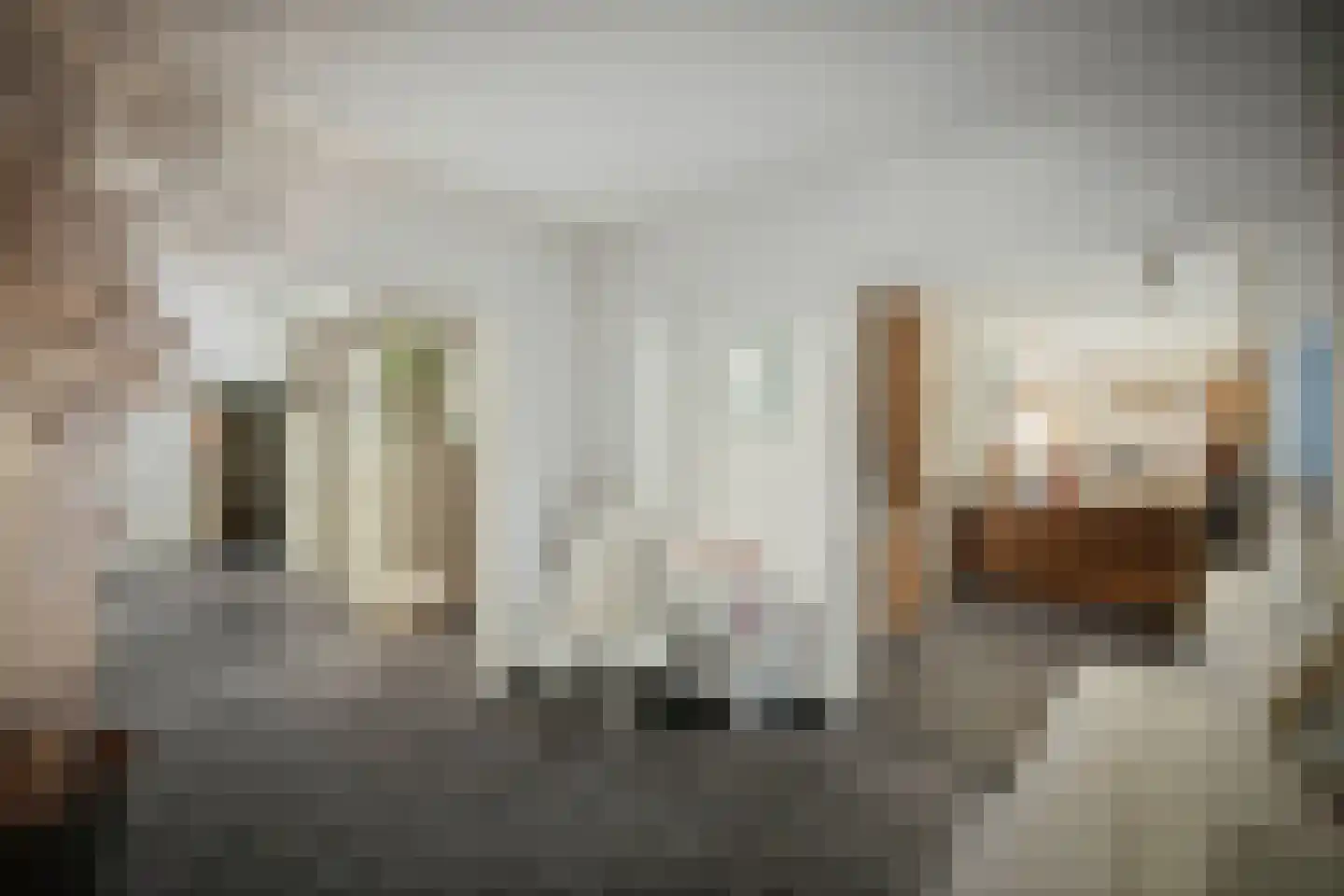 Spanjaardsdijk 50 A Schalkhaar thumbnail 56