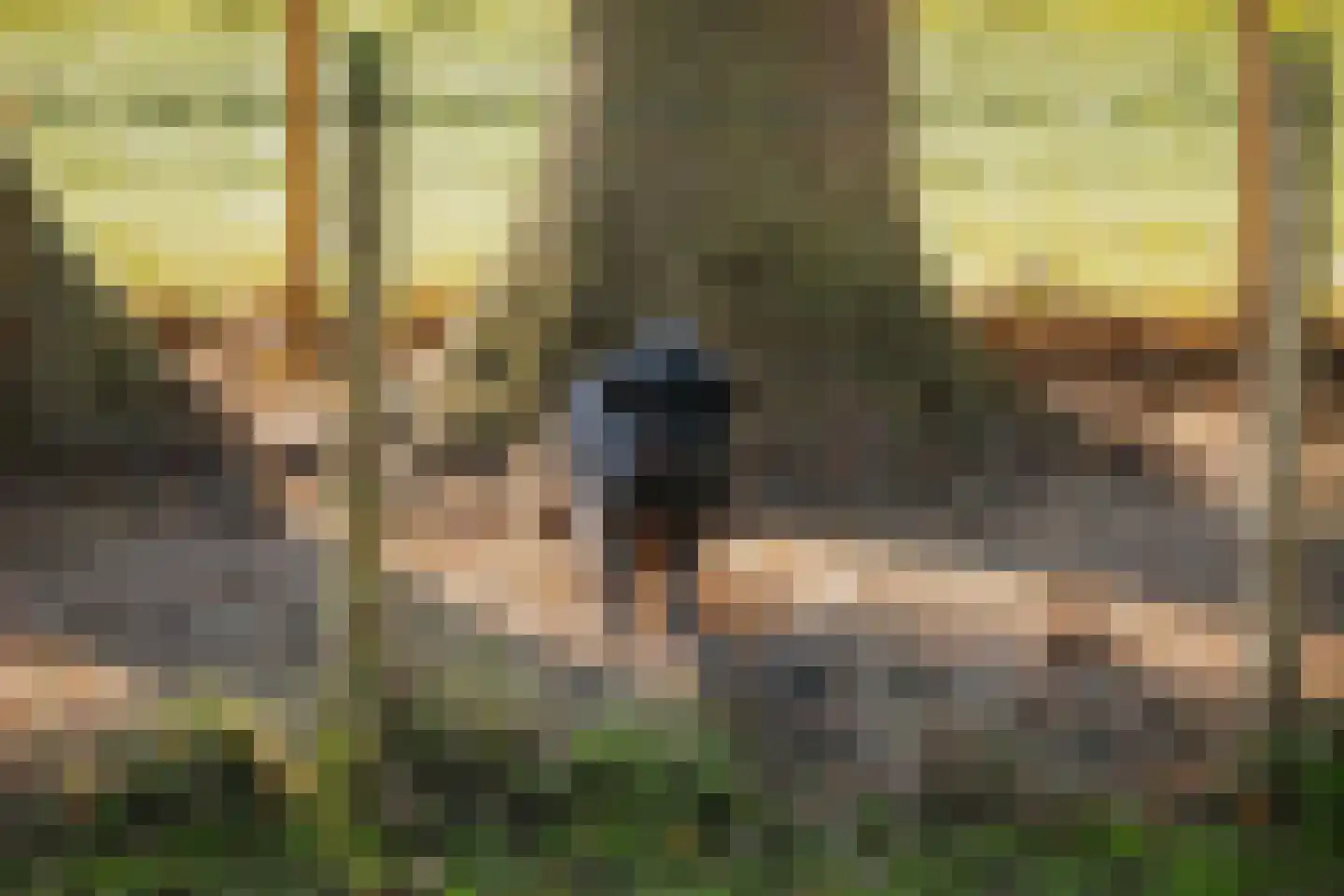 Spanjaardsdijk 50 A Schalkhaar thumbnail 64