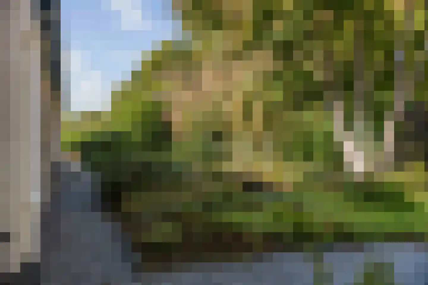 Spanjaardsdijk 50 A Schalkhaar thumbnail 68