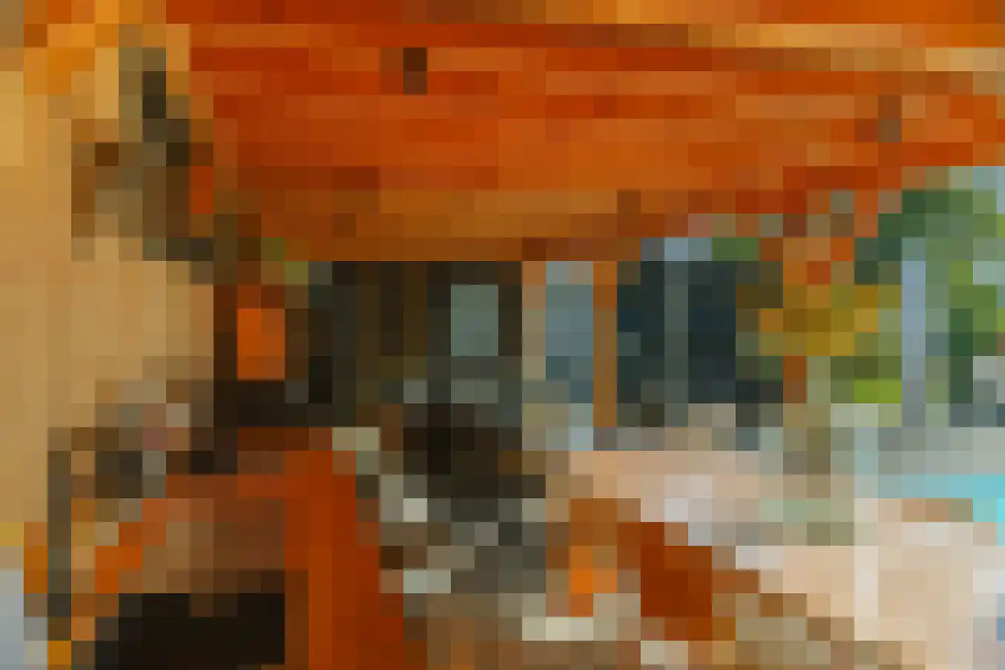 Spanjaardsdijk 50 A Schalkhaar thumbnail 9