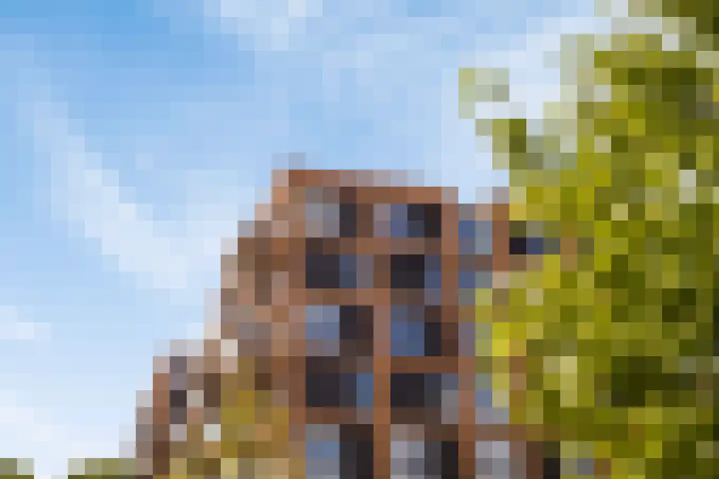Spanjaardsgoed 100 Veenendaal thumbnail 4