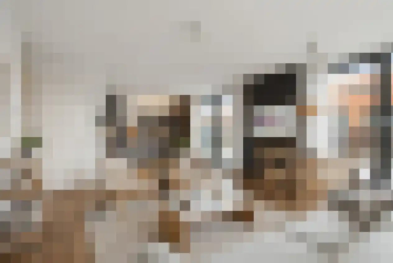 Spanjaardsgoed 134 Veenendaal thumbnail 11
