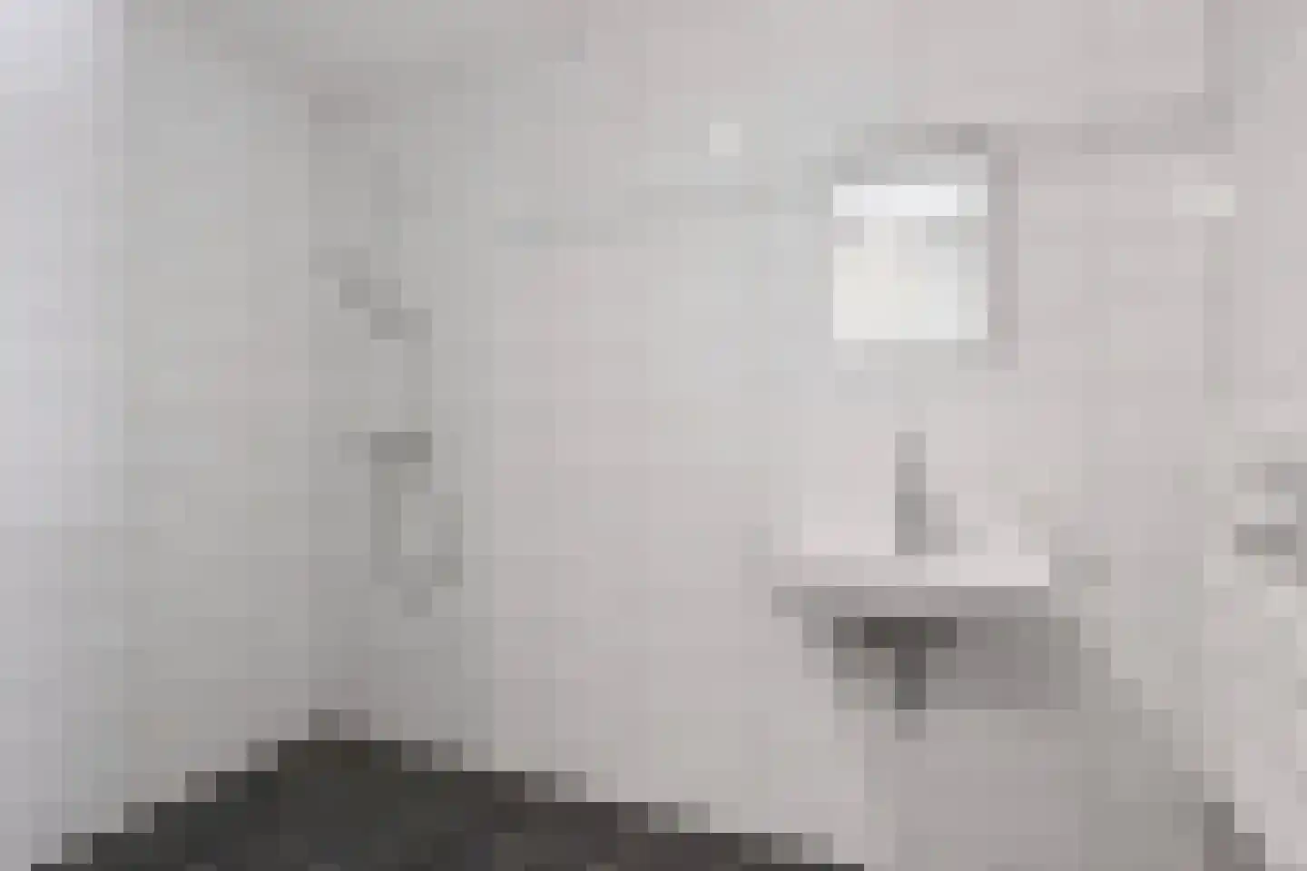 Spanjaardsgoed 134 Veenendaal thumbnail 27
