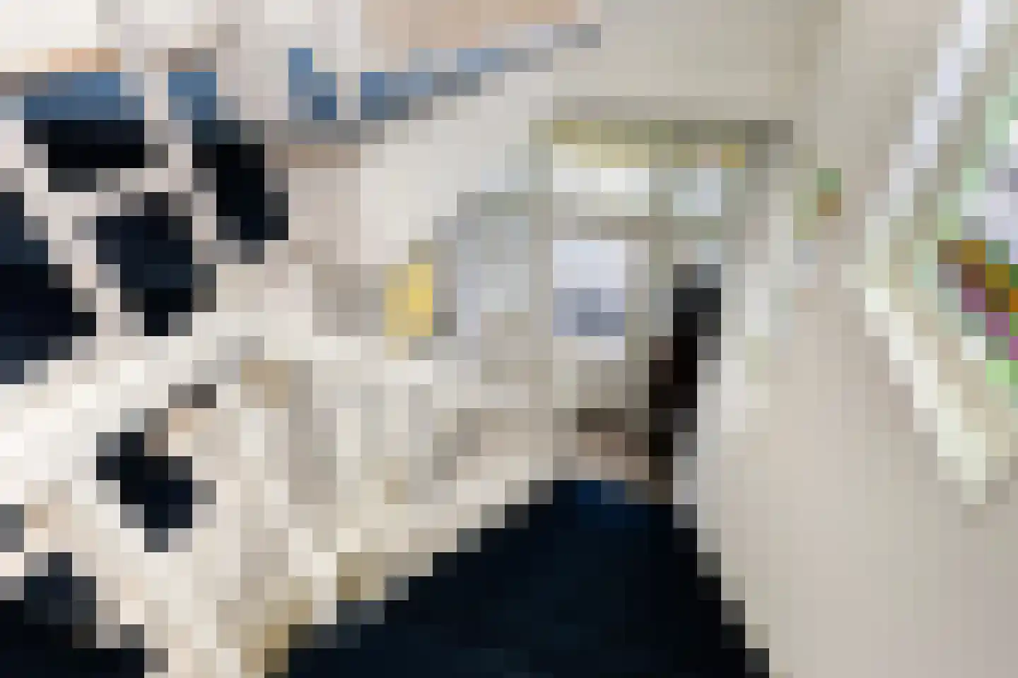 Spanjaardslaan 100 Leeuwarden thumbnail 15