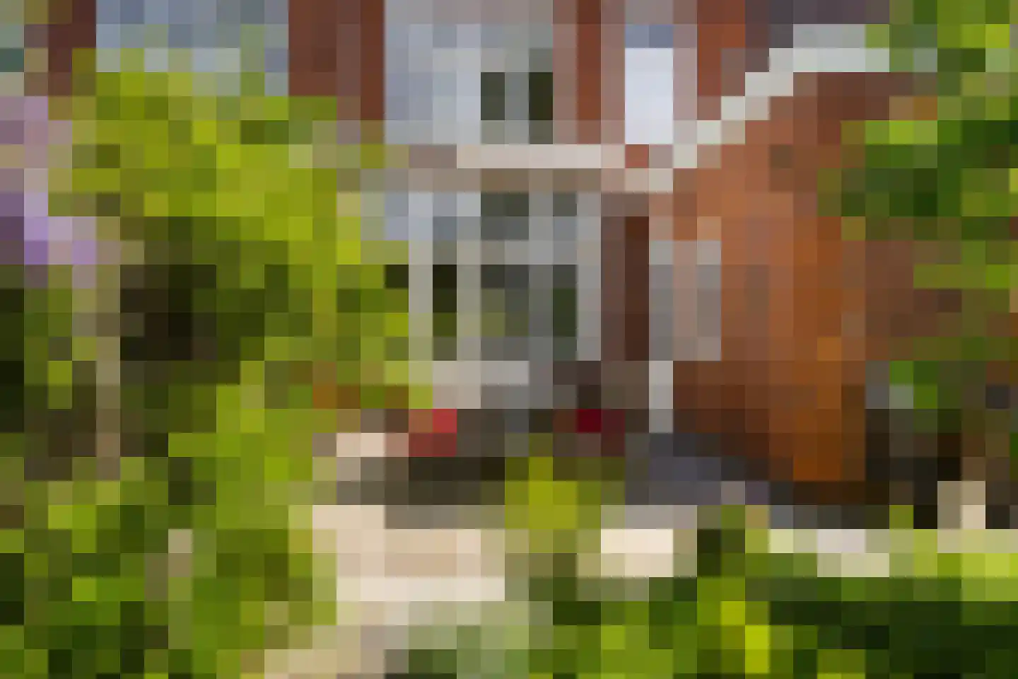 Spanjaardslaan 100 Leeuwarden thumbnail 30