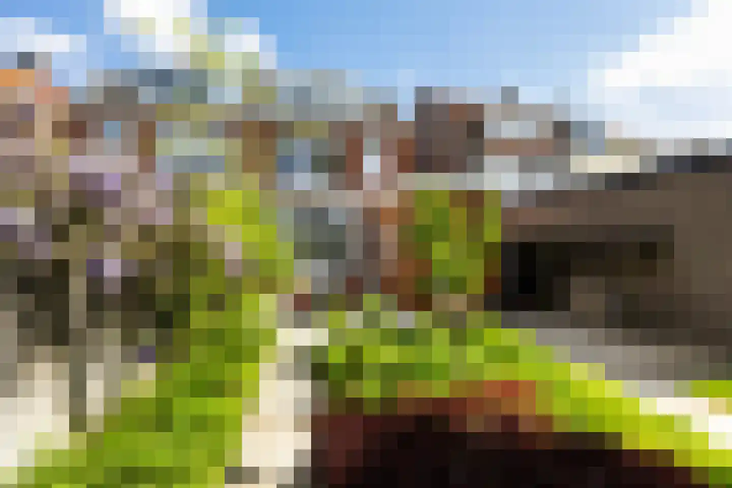 Spanjaardslaan 100 Leeuwarden thumbnail 33