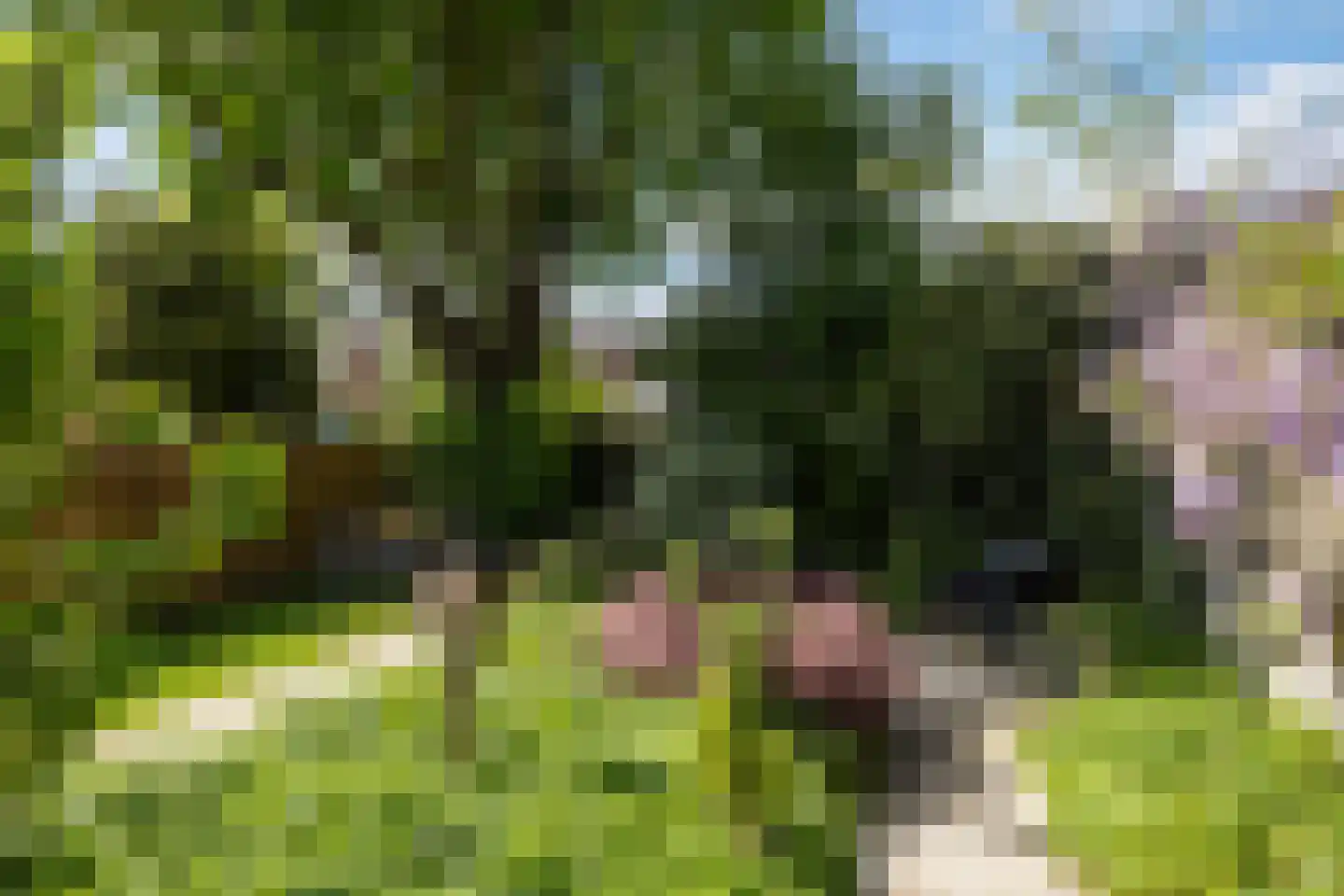 Spanjaardslaan 100 Leeuwarden thumbnail 34