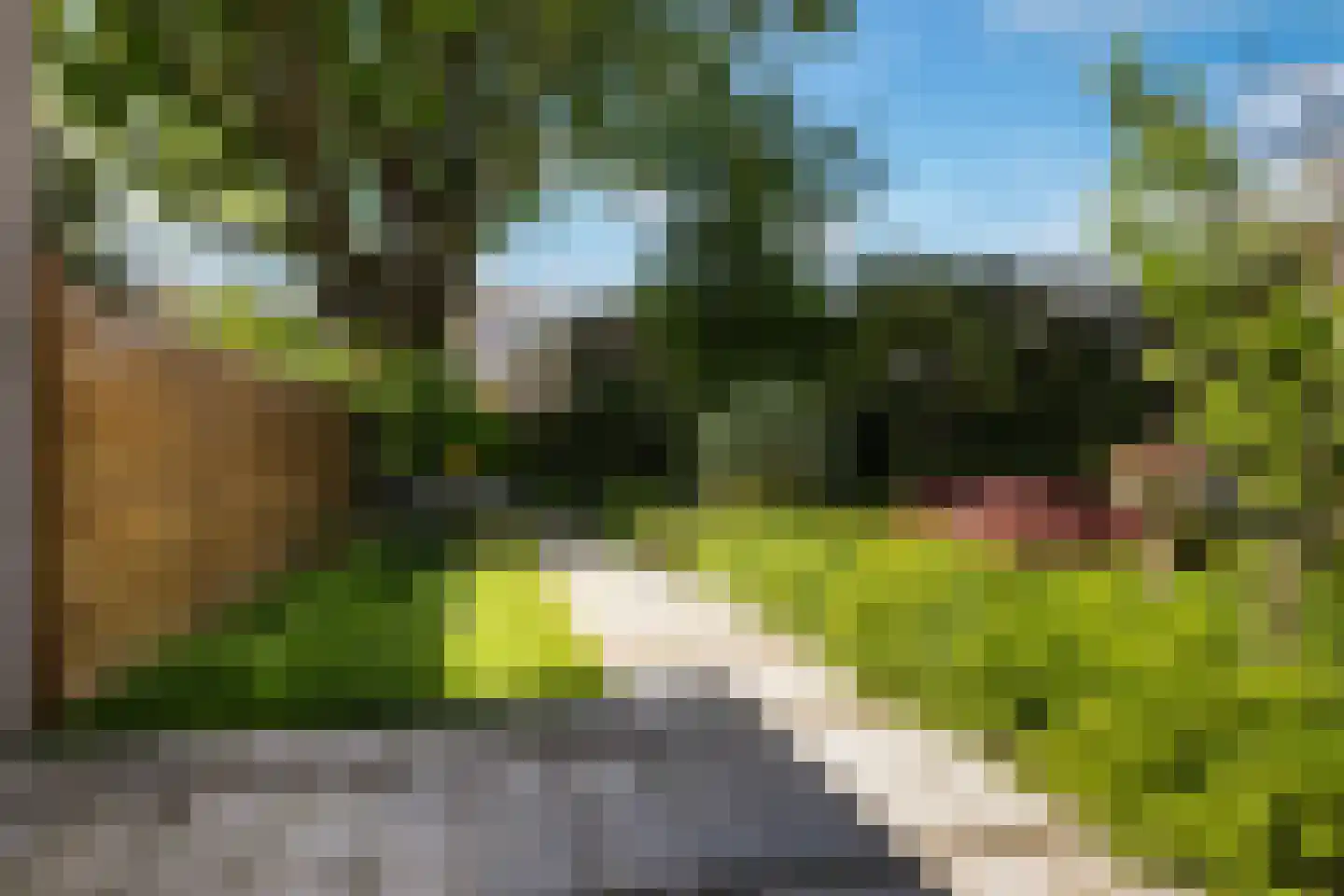 Spanjaardslaan 100 Leeuwarden thumbnail 35