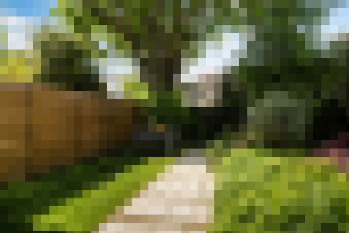 Spanjaardslaan 100 Leeuwarden thumbnail 36