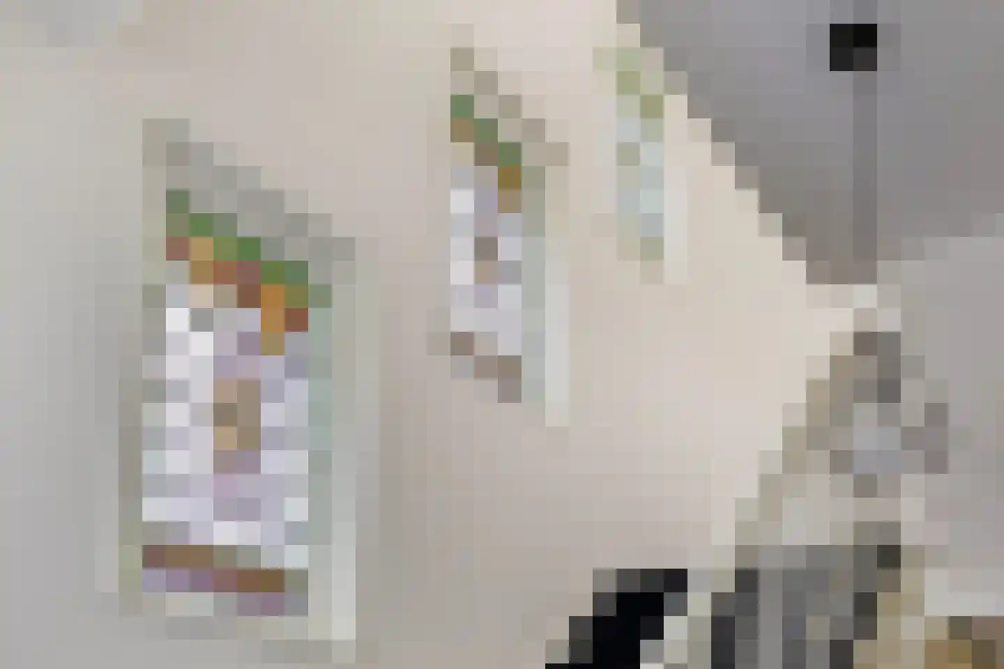 Spanjaardslaan 100 Leeuwarden thumbnail 37