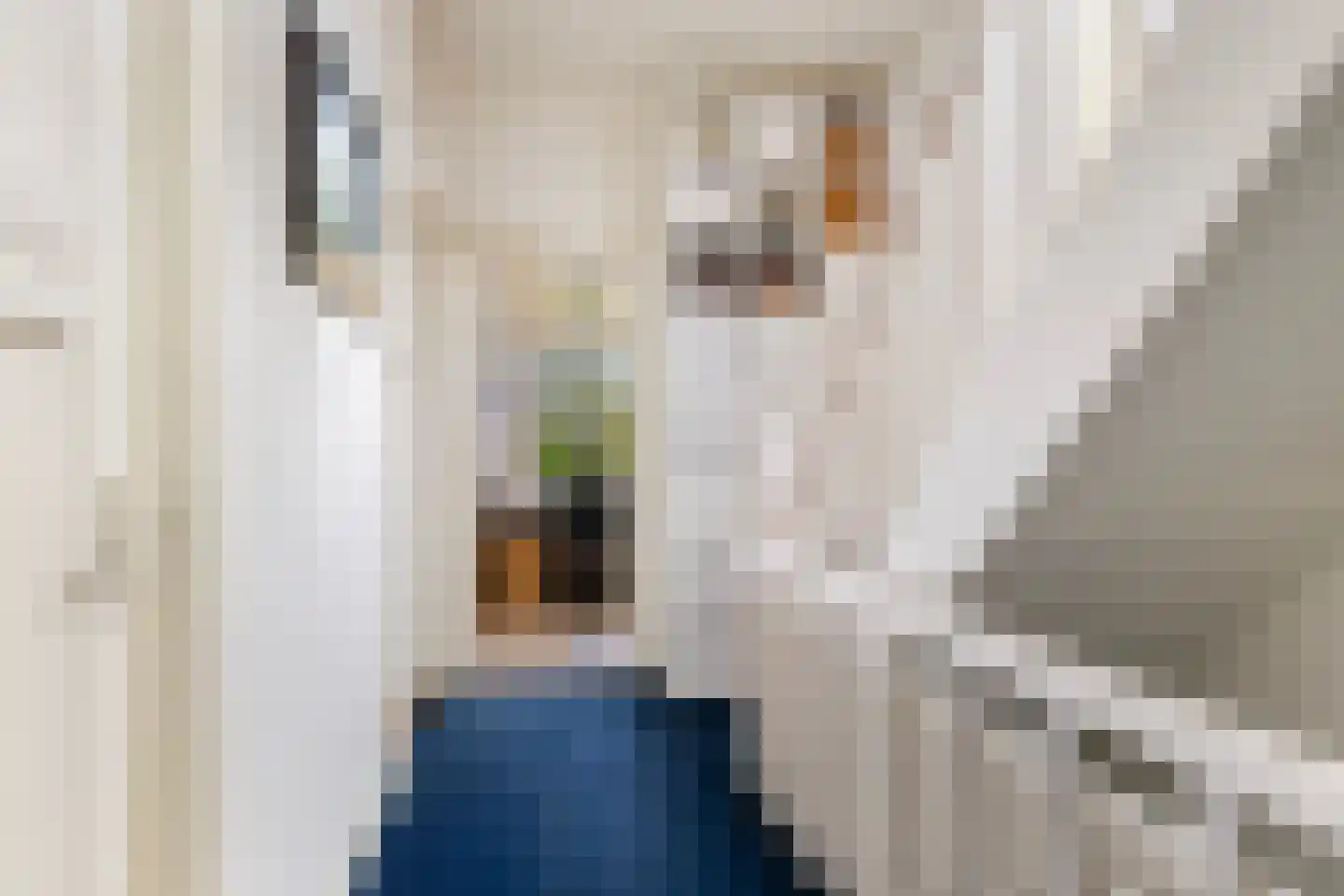 Spanjaardslaan 100 Leeuwarden thumbnail 38