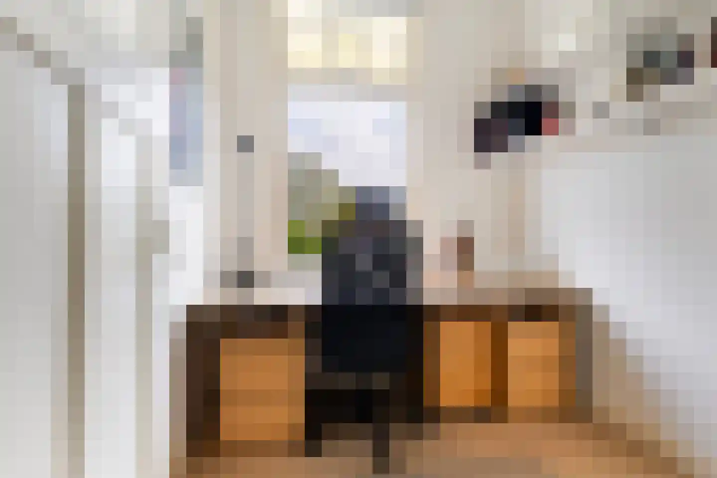 Spanjaardslaan 100 Leeuwarden thumbnail 40