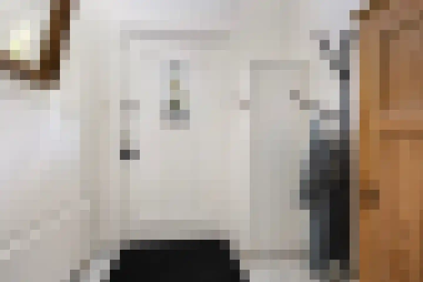 Spanjaardslaan 100 Leeuwarden thumbnail 9