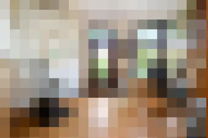 Spanjaardslaan 105 Leeuwarden thumbnail 30