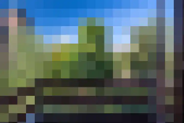 Spanjaardslaan 105 Leeuwarden thumbnail 39