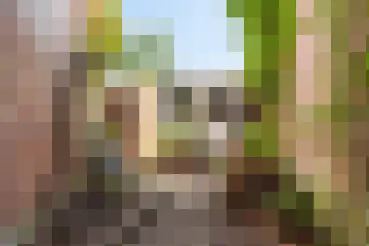 Spanjaardslaan 105 Leeuwarden thumbnail 42