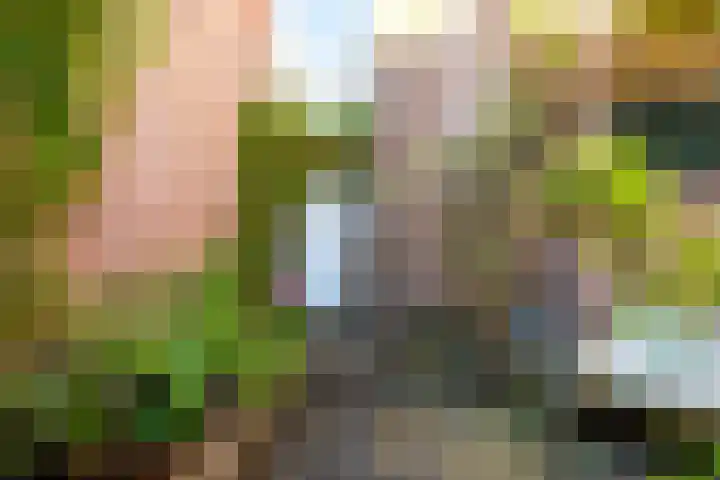 Spanjaardslaan 105 Leeuwarden thumbnail 43