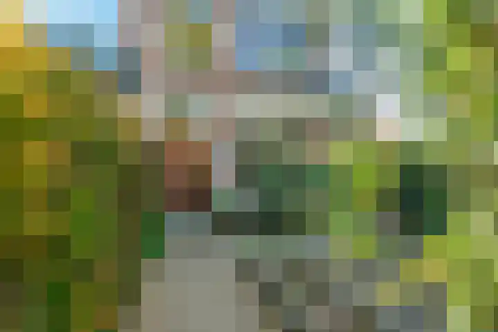 Spanjaardslaan 105 Leeuwarden thumbnail 51