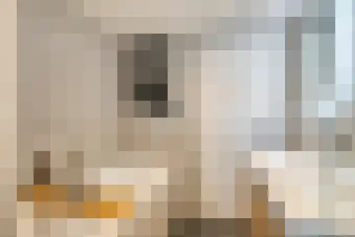 Spanjaardslaan 105 Leeuwarden thumbnail 62