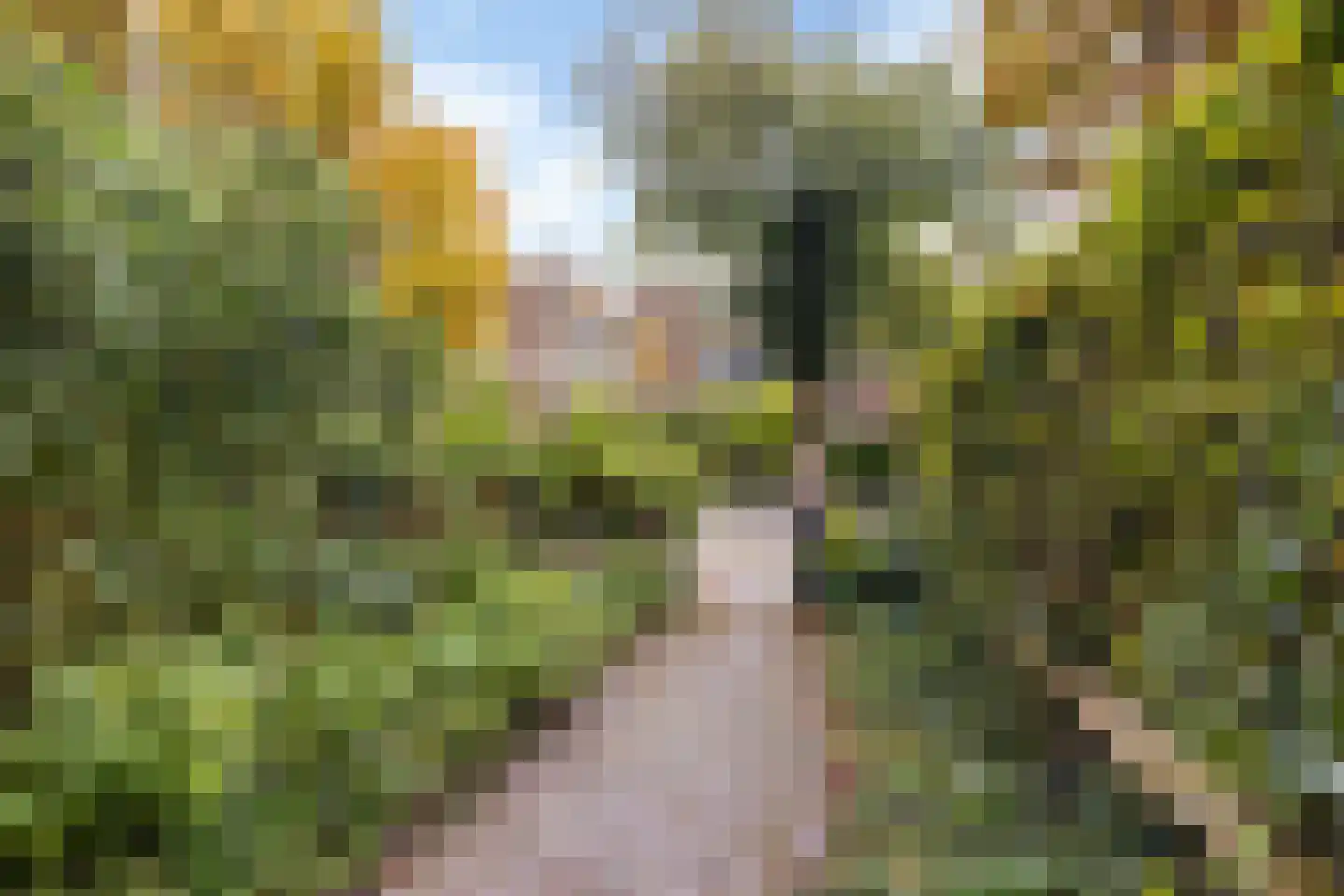 Spanjaardslaan 120 Leeuwarden thumbnail 29